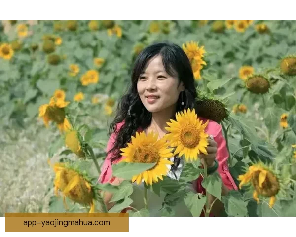 伊人网青青草：不止于芳华，更在心灵的栖息地